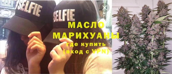 сатива Арсеньев