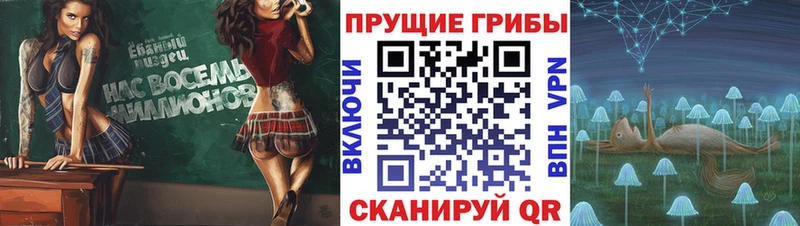 Галлюциногенные грибы Cubensis  Рыбинск 