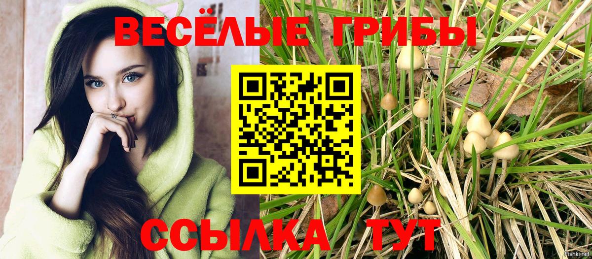 продажа наркотиков  Псилоцибиновые грибы GOLDEN TEACHER  Вход с VPN  Рыбинск 